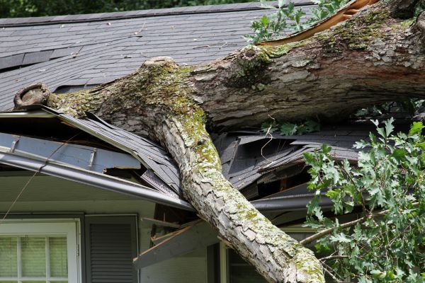 Cost of Storm Remediation in Southfield