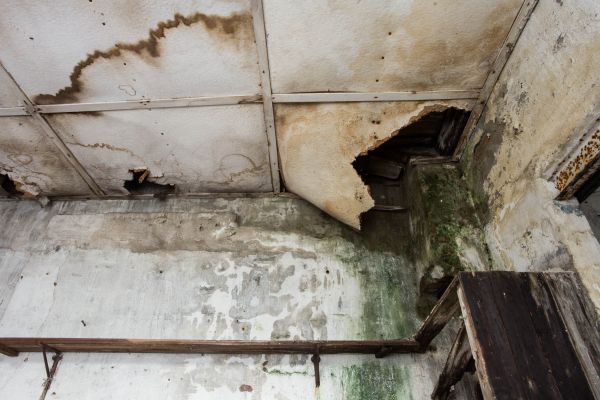 Cost of Water Damage Service in Southfield