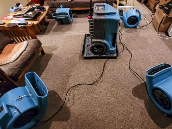 Cost of Flood Damage Recovery in Southfield