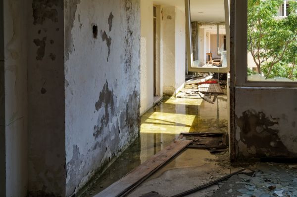 Cost of Water Removal Service in Southfield