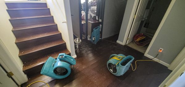 Cost of Water Damage Remediation in Southfield