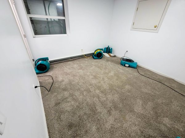 Cost of Flood Restoration Service in Southfield