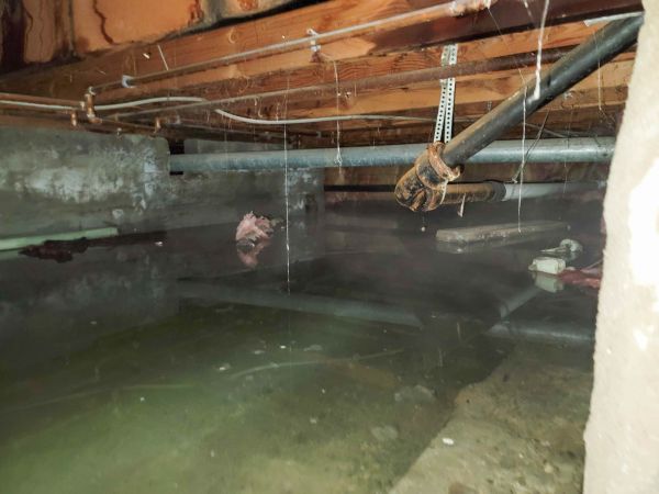 Cost of Water Mitigation Service in Southfield