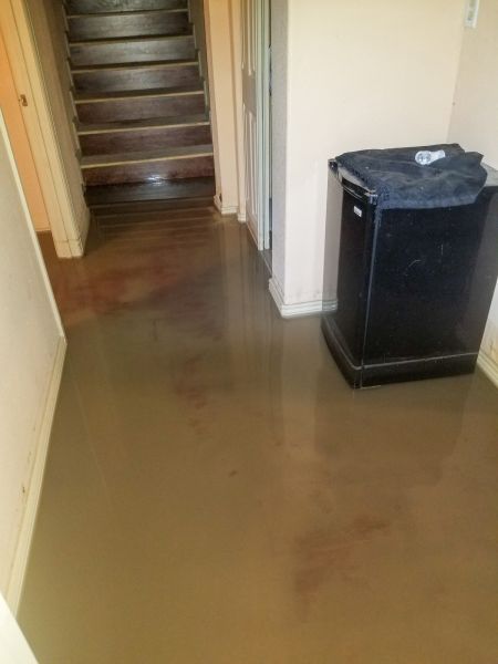 Cost of Emergency Water Removal in Southfield